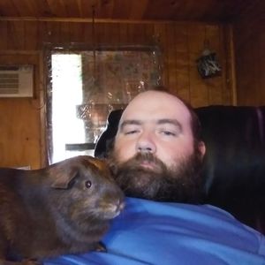 Meet your Posher, Willis